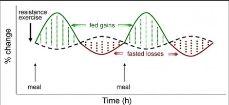 Strength Training and Protein