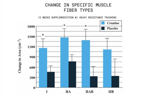 Should You Take Creatine?