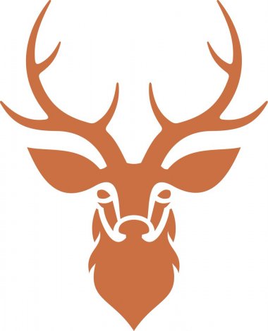 Athlete News & Successes