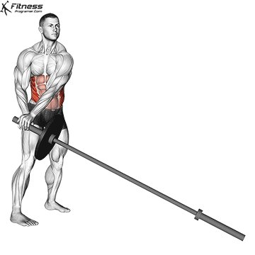 Exercise of the month