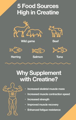 Should you take creatine?